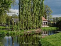 NL, Drenthe, Midden-Drenthe, Siberie 8, Saxifraga-Hans Dekker