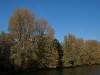 NL, Noord-Brabant, Altena, Gat van de Vloeien 7,Saxifraga-Jan van der Straaten