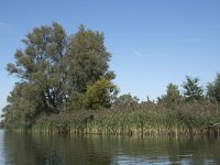 NL, Noord-Brabant, Altena, Gat van den Hardenhoek 11, Saxifraga-Willem van Kruijsbergen