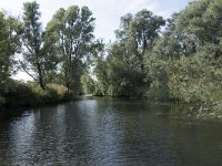 NL, Noord-Brabant, Altena, Gat van den Hardenhoek 37, Saxifraga-Willem van Kruijsbergen