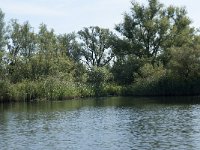 NL, Noord-Brabant, Altena, Gat van den Hardenhoek 40, Saxifraga-Annemiek Bouwman