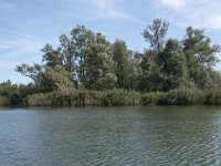 NL, Noord-Brabant, Altena, Gat van den Hardenhoek 6, Saxifraga-Willem van Kruijsbergen