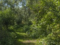 NL, Noord-Brabant, Altena, Jannezand 12, Saxifraga-Jan van der Straaten