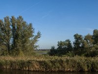 NL, Noord-Brabant, Altena, Lange Plaat 1, Saxifraga-Jan van der Straaten