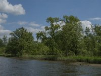 NL, Noord-Brabant, Altena, Noordplaatje 1, Saxifraga-Jan van der Straaten