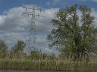 NL, Noord-Brabant, Altena, Polder Maltha 11, Saxifraga-Jan van der Straaten