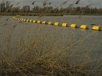 NL, Noord-Brabant, Altena, Polder Maltha 7, Saxifraga-Jan van der Straaten