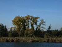 NL, Noord-Brabant, Altena, Spijkerboor 1, Saxifraga-Jan van der Straaten