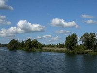 NL, Noord-Brabant, Altena, Vijf Ambachten 9, Saxifraga-Jan van der Straaten