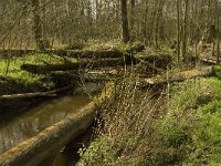 NL, Noord-Brabant, Baarle-Nassau, Halsche Beemden 212, Saxifraga-Marijke Verhagen