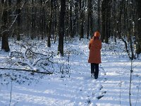 NL, Noord-Brabant, Boxtel, De Geelders 7, Saxifraga-Jan van der Straaten