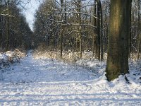 NL, Noord-Brabant, Boxtel, De Geelders 9, Saxifraga-Jan van der Straaten