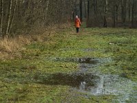 NL, Noord-Brabant, Boxtel, Het Speet 16, Saxifraga-Jan van der Straaten