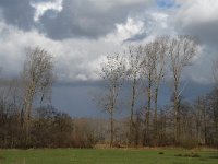 NL, Noord-Brabant, Boxtel, Hezelaarsbroek 2, Saxifraga-Jan van der Straaten