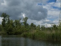 NL, Noord-Brabant, Drimmelen, Buiten Kooigat 18, Saxifraga-Jan van der Straaten