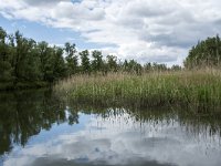 NL, Noord-Brabant, Drimmelen, Buiten Kooigat 32, Saxifraga-Willem van Kruijsbergen