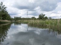 NL, Noord-Brabant, Drimmelen, Buiten Kooigat 39, Saxifraga-Willem van Kruijsbergen