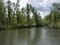 NL, Noord-Brabant, Drimmelen, Buiten Kooigat 42, Saxifraga-Willem van Kruijsbergen