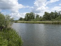 NL, Noord-Brabant, Drimmelen, Buiten Kooigat 53, Saxifraga-Willem van Kruijsbergen