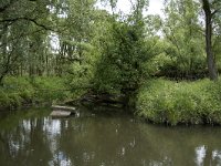 NL, Noord-Brabant, Drimmelen, Driessenhennip 2, Saxifraga-Willem van Kruijsbergen