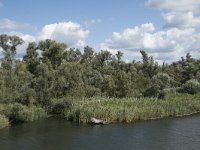 NL, Noord-Brabant, Drimmelen, Gat van Honderd en Dertig 13, Saxifraga-Willem van Kruijsbergen