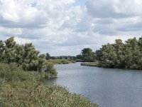 NL, Noord-Brabant, Drimmelen, Gat van Honderd en Dertig 16, Saxifraga-Willem van Kruijsbergen