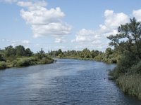 NL, Noord-Brabant, Drimmelen, Gat van Honderd en Dertig 17, Saxifraga-Willem van Kruijsbergen