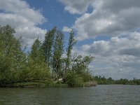 NL, Noord-Brabant, Drimmelen, Gat van Honderd en Dertig 2, Saxifraga-Jan van der Straaten