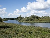 NL, Noord-Brabant, Drimmelen, Gat van Honderd en Dertig 20, Saxifraga-Willem van Kruijsbergen