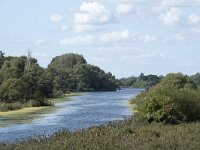 NL, Noord-Brabant, Drimmelen, Gat van Honderd en Dertig 26, Saxifraga-Willem van Kruijsbergen