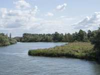 NL, Noord-Brabant, Drimmelen, Gat van Van Kampen 14, Saxifraga-Willem van Kruijsbergen