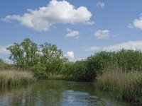 NL, Noord-Brabant, Drimmelen, Gat van de Plomp 10, Saxifraga-Jan van der Straaten