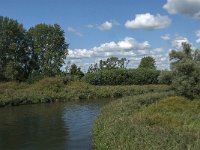 NL, Noord-Brabant, Drimmelen, Gat van de Slek 19, Saxifraga-Jan van der Straaten