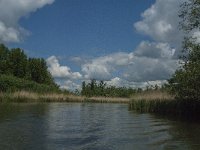 NL, Noord-Brabant, Drimmelen, Gat van de Slek 2, Saxifraga-Jan van der Straaten