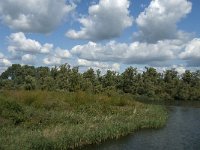 NL, Noord-Brabant, Drimmelen, Gat van de Slek 20, Saxifraga-Jan van der Straaten