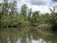 NL, Noord-Brabant, Drimmelen, Gat van de Slek 27, Saxifraga-Willem van Kruijsbergen