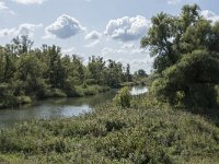 NL, Noord-Brabant, Drimmelen, Gat van de Slek 31, Saxifraga-Willem van Kruijsbergen