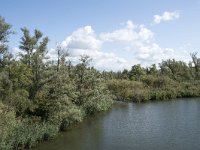 NL, Noord-Brabant, Drimmelen, Gat van de Slek 38, Saxifraga-Willem van Kruijsbergen