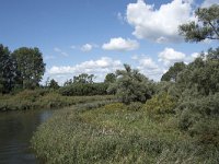 NL, Noord-Brabant, Drimmelen, Gat van de Slek 48, Saxifraga-Willem van Kruijsbergen