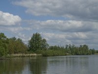 NL, Noord-Brabant, Drimmelen, Gat van de Vloeien 19, Saxifraga-Jan van der Straaten