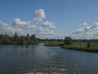 NL, Noord-Brabant, Drimmelen, Gat van de Vloeien 23, Saxifraga-Jan van der Straaten