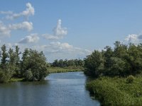 NL, Noord-Brabant, Drimmelen, Gat van de Vloeien 25, Saxifraga-Jan van der Straaten