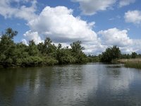 NL, Noord-Brabant, Drimmelen, Gat van de Vloeien 26, Saxifraga-Willem van Kruijsbergen