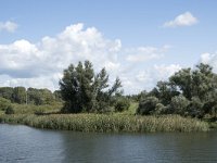 NL, Noord-Brabant, Drimmelen, Gat van de Vloeien 37, Saxifraga-Willem van Kruijsbergen