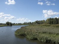 NL, Noord-Brabant, Drimmelen, Gat van de Vloeien 38, Saxifraga-Willem van Kruijsbergen