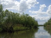 NL, Noord-Brabant, Drimmelen, Gat van de Vloeien 4, Saxifraga-Jan van der Straaten