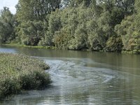 NL, Noord-Brabant, Drimmelen, Gat van de Vloeien 41, Saxifraga-Willem van Kruijsbergen