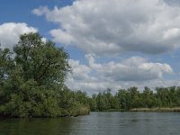 NL, Noord-Brabant, Drimmelen, Gat van de Vloeien 8, Saxifraga-Jan van der Straaten