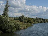 NL, Noord-Brabant, Drimmelen, Groene Plaat benoorden Honderd en Dertig 1, Saxifraga-Jan van der Straaten