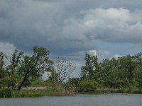 NL, Noord-Brabant, Drimmelen, Keesjes Jan Killeke 11, Saxifraga-Jan van der Straaten